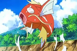 Welcome to Magikarp Community !