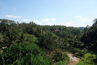 Bali