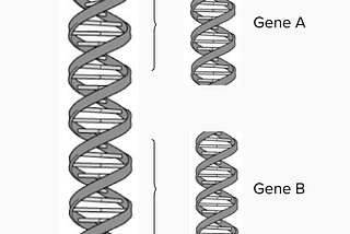 Rapid Read: CRISPR — Genes and Genetic Materials