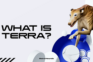 What Is Terra?