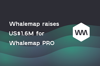 Whalemap Raises Over US$1.6M from Prominent Investors to Expand Engineering Team