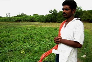 ENVIRONMENT
The Impact of Climate Change on the Agriculture Sector of Chhattisgarh
Written by…