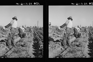 America’s forgotten Filipino farmworkers: If you know Cesar Chavez, you should know Larry Itliong