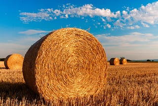 Making Hay