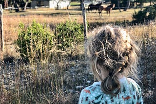 The back of a little girl’s head, who is looking at two horses off in the distance. Perspective is behind girl.