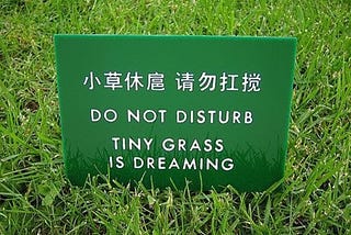 Engrish Content is Damaging Your Business