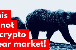 This Is Not A Crypto Bear Market.