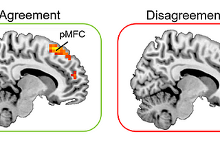 What Science Says about Disagreeing like an FBI-Agent