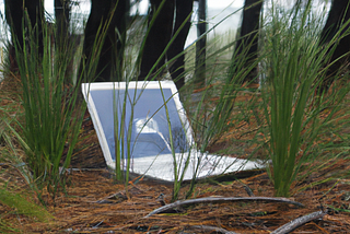 computer sitting in nature