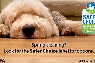 Safer Choice Label Helps Consumers Protect Families
