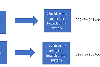 CaaS educational shorts — Lesson 006 — Hashing