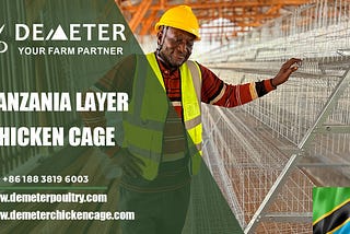 Tanzania New Chicken Poultry Farming Layer Battery Cages for Sale in Dar es Salaam Location: Dar es Salaam, Tanzania Farm Situation: 40,000pcs layer chickens Cage Type: A-type 4-tier layer battery chicken cage Shed size: 90*15*3.5m Life Span: 15–20 years Embrace the future of poultry farming with our state-of-the-art cage system. Upgrade your farm today together with Demeter Chicken Cage — Get your solution — 🔉 Leave your comment 🔉 Contact us on WhatsApp: +86 188 3819 6003 🔉 Send a messa