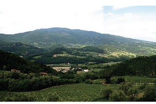 A landscape photo of a Tuscan valley with fields, cypress trees, and vineyards.
