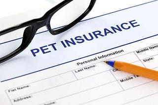 Why necessary Pet Insurance in USA?