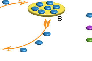 Epidemic Modeling 303 — Meta-Population Models