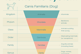 What’s in a name? The taxonomic system and how do we classify bacteria