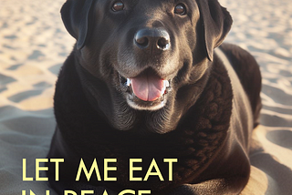 Bear my dog on beach