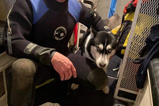 Rescue Team Saves Husky from Drowning