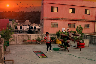 “Greening the Future: Innovative Solutions for Climate Resilience in Palestinian Refugee Camps”