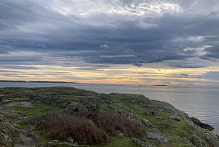 A sad little box o’ cake