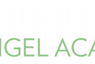 My Investment Story: Angel Academe