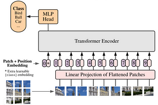 Transformer for All Data Types