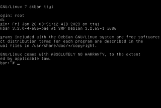 Bingung cara mengatur Multiple Network Interface untuk Linux Debian di Virtual Box? Baca Ini