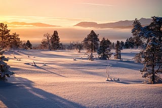 What’s so Important about Snow Days?