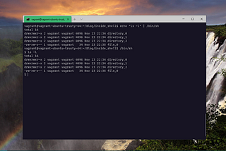 Inside shell. A little journey through the ls -l command. 🐚