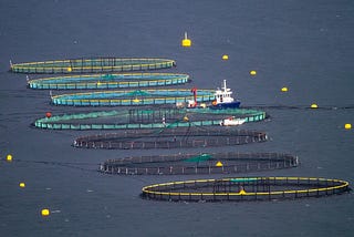 Aquaculture and Animal Welfare