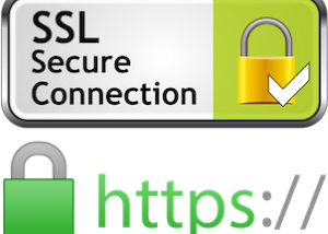 SSL certificates enable HTTPS on web servers