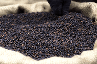 Zero Harm Pepper by Tata Coffee