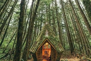 Door opens into a tiny, fairytale-like cottage nestled in a forest.