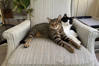 I Hated “Friends” and “Sex in the City”