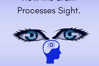 Encyclopedia of Decoding Vision. How the Brain Processes Sight.