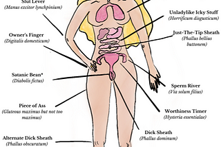 Female Anatomy, According to Dead White Men