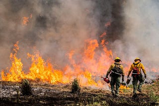 Huffman, Obernolte Re-introduce Bipartisan Legislation to Increase Wildfire Resiliency