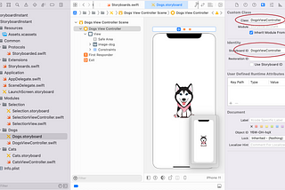iOS development tips: How to instantiate UIViewController from Storyboard