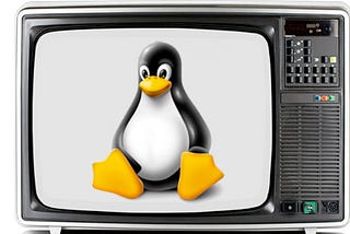 Howto einfach Video mit SuSE Linux