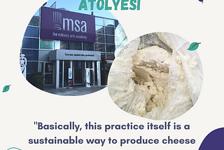 Gökçen’s Reflection on Vegan Cheese Workshop