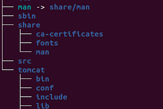 This is how the structure of file system looks in docker container
