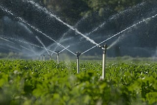 Irrigation Water