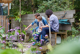 Astuces pour entretenir son jardin à la mi-saison