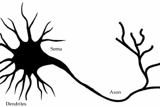 BIO-logical: Java implementation of a neural network