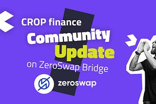 Update on ZeroSwap Bridge