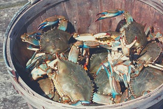 The ‘Crab Mentality’ Is Why You’re Stuck In A Dead-End Job Reveals Famous Neuroscientist