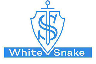 Approaching stealers devs : a brief interview with WhiteSnake