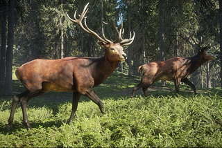 Are Trail Cameras Effective for Home Security? Comparing Trail Cameras and Security Cameras