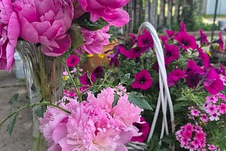 The Truth About Ants and Peonies