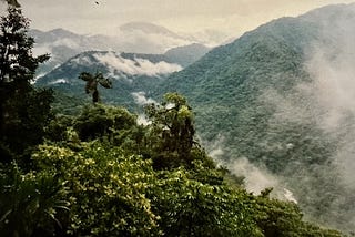 Braulio Carrillo Cloud Forest, Costa Rica. Trees in foreground, mountains and clouds in back.